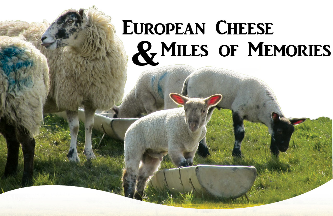 European Cheese & Miles Of Memories_Photo_Web